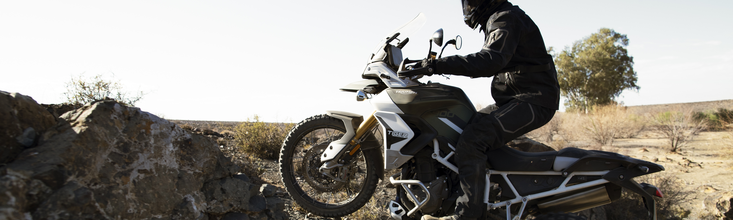 2020 Triumph motorcycle for sale in Woodlands Premium Motorcycles, Shenandoah, Texas