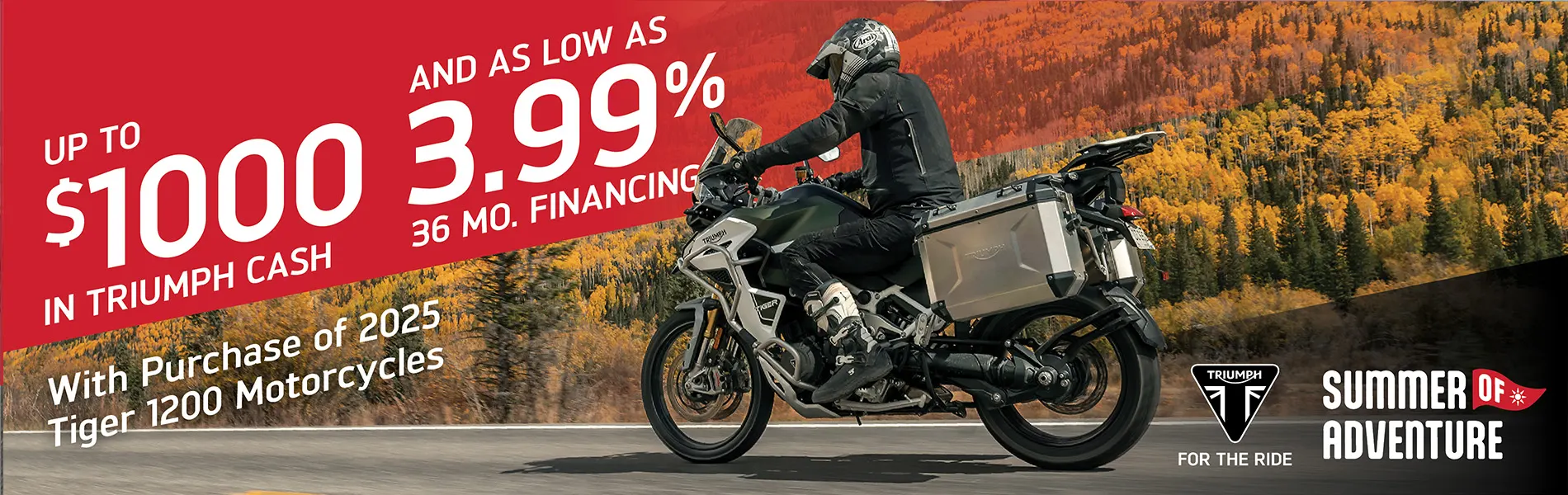 Triumph Promotional Banner - July